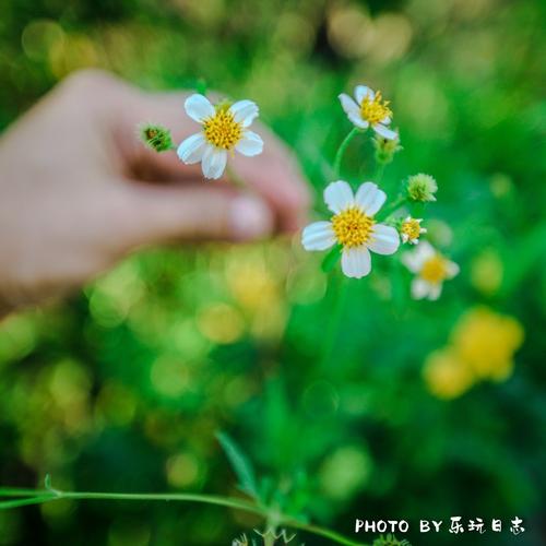 找一个快乐