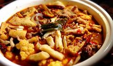 我们的伙伴手机