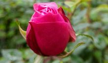 让智慧之花绽放