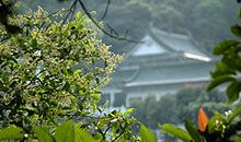 让心灵开出宁静之花