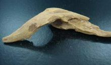 带着药味的背影