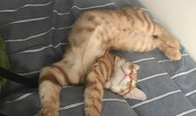 我家有个小活宝