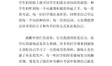 我眼中的她作文400字