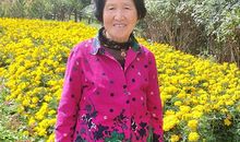 父爱是一条永不枯竭的河流