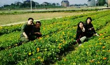 那段在杭州的日子