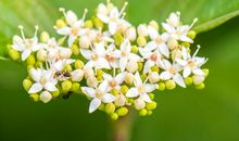 体验生活的乐与苦