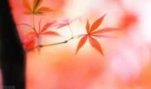 经历过才会有得失