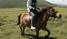 惊心动魄的骑马