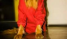 哭着笑着跑过青春