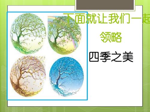 我眼中四季的美丽