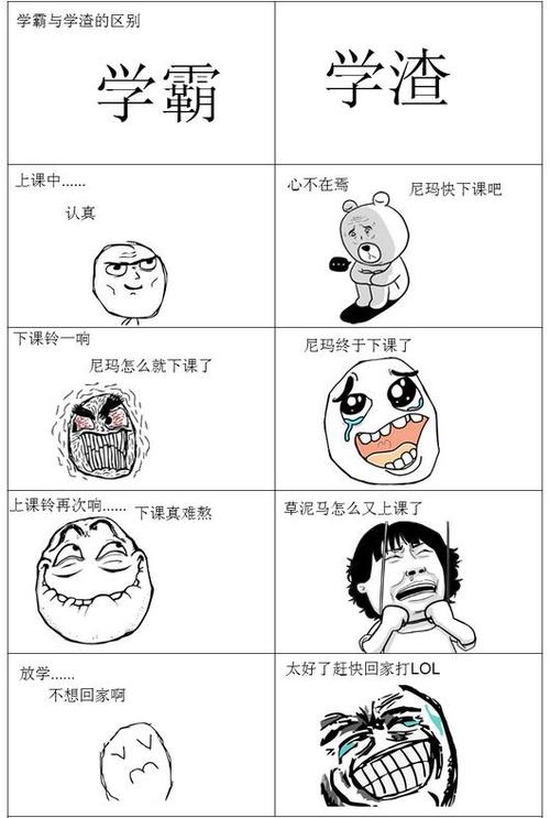 我的完整性之间的差异
