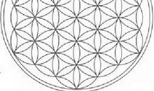 黑暗中的生命之花