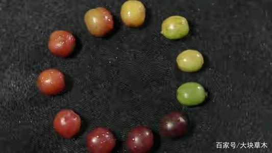 定自我，穿过森林