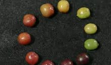 笃定自我，穿越森林