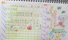 续写蜘蛛开店200字二年级