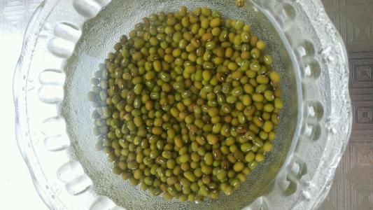 在我的家乡的青豆ganflill