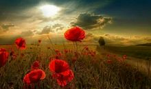 那段思念的日子