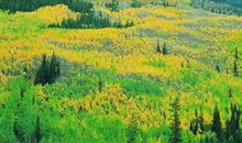 校园里那一道风景