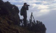 等候黎明的曙光