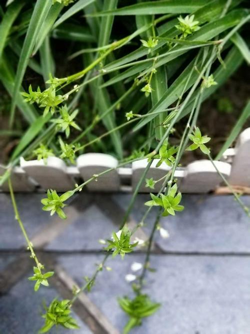 满足碎片·生活