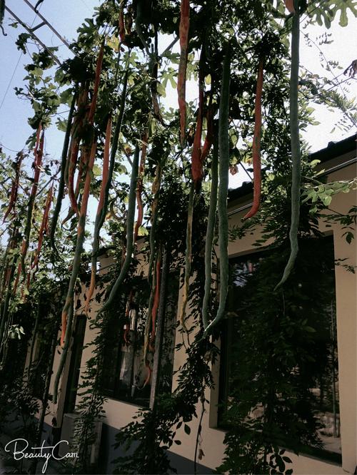 年很安静，团聚是最美丽的