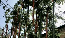 岁月静好，团圆最美