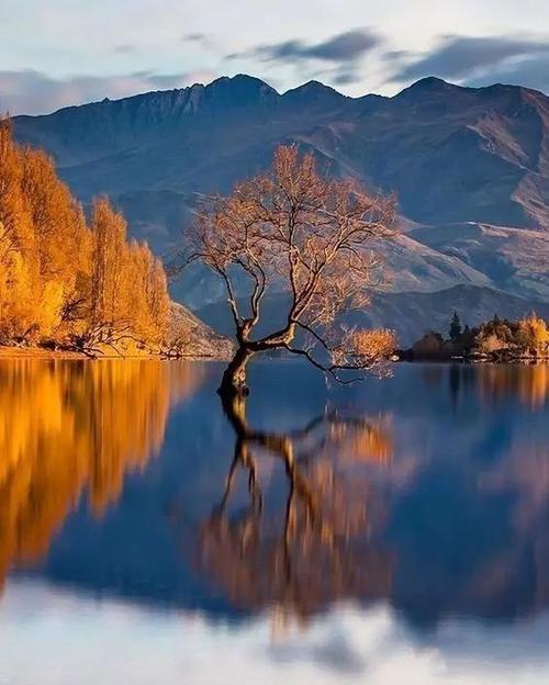 成长是一种景观