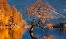 成长是一道风景