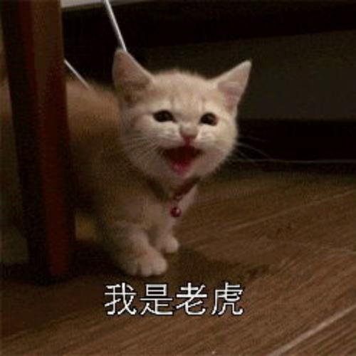 我是老虎