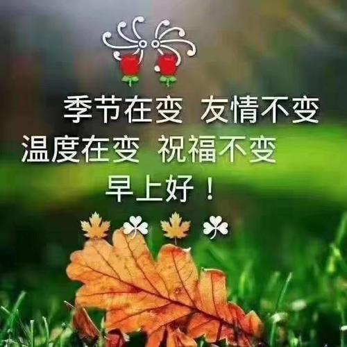 亲爱的，我称赞你。
