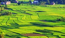 谁不说咱的家乡好