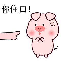 小灰色猪朋友