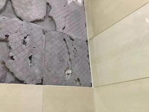 惊心动魄的发现