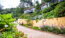 异样的乡村生活