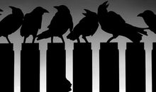 人类，请坚持最后的底线