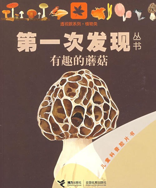 记住有趣的发现