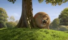 一个会推胖子下桥的社会还是人类社会吗？