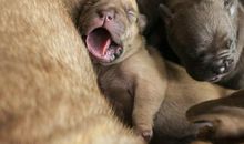 母爱时时暖人心