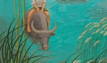 读《青铜葵花》后感：苦难与爱