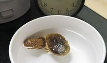 胖大海“变形记”