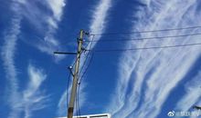 在高温的日子里