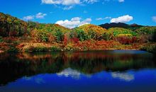 一道最美丽的风景线