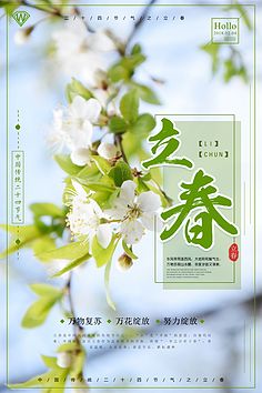追逐太阳也是一种