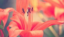 懂得感恩创造自己