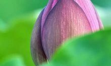 散落在淡夏的时光