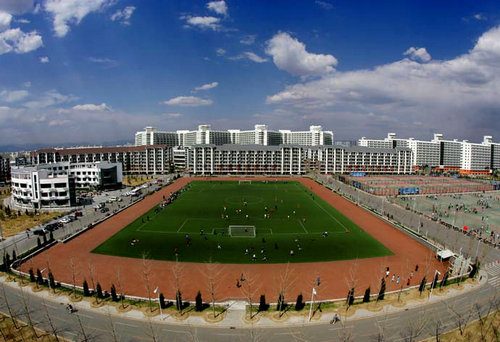 想要大学