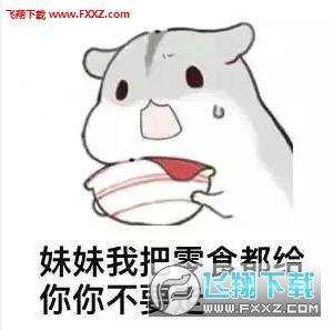 仓鼠带给我幸福