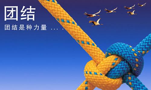 团结是一种权力