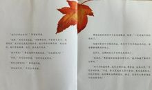 《一片叶子落下来》读后感