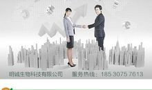 凝视酸味的努力